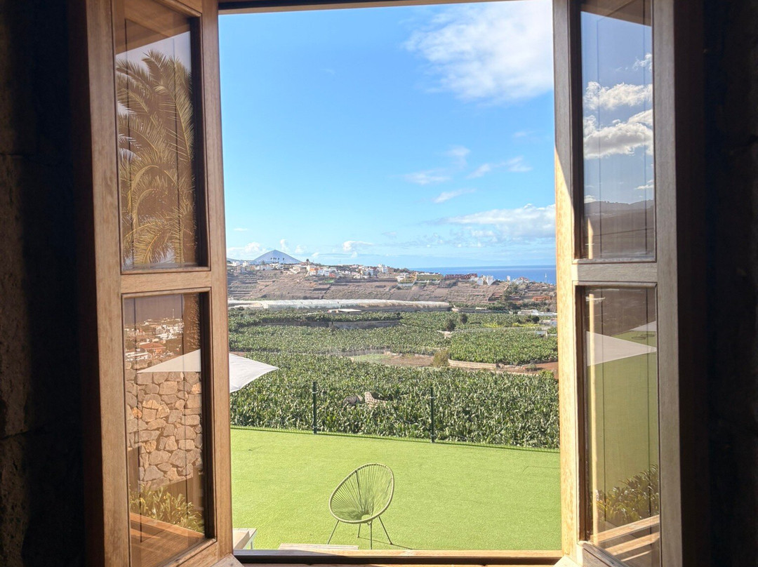 La Rekompensa Mundo del Plátano-Arucas必去景点