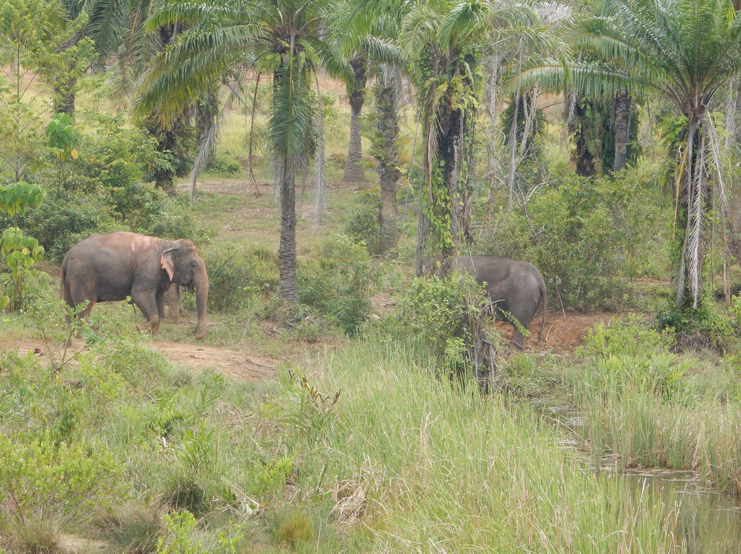 Following Giants - Krabi-Khlong Hin必去景点