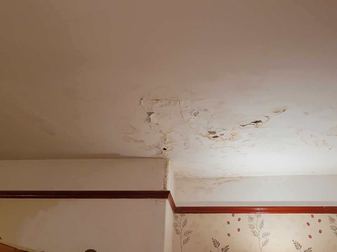 The Radstock Hotel主图