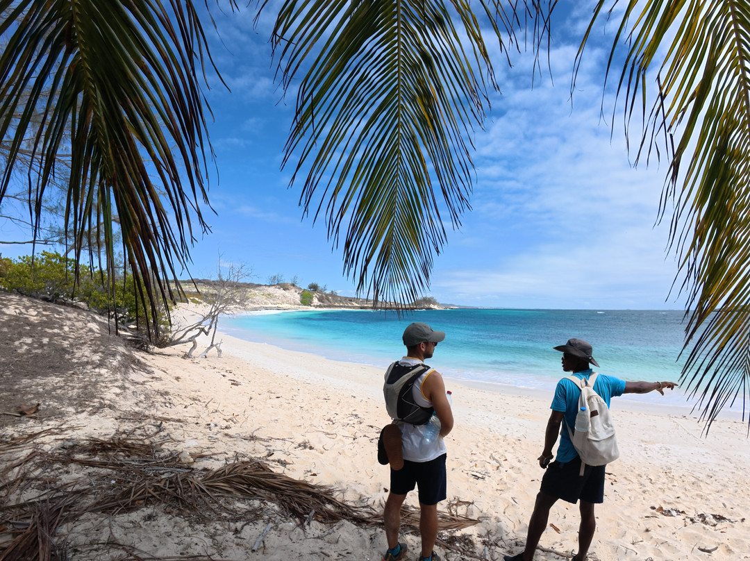 Masova excursions-诺西贝必去景点