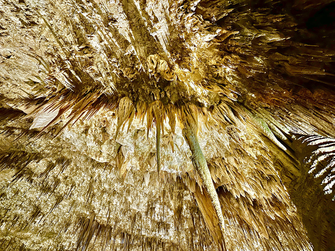 Carlsbad Caverns Natural Entrance Tour-卡尔斯巴德洞穴国家公园必去景点