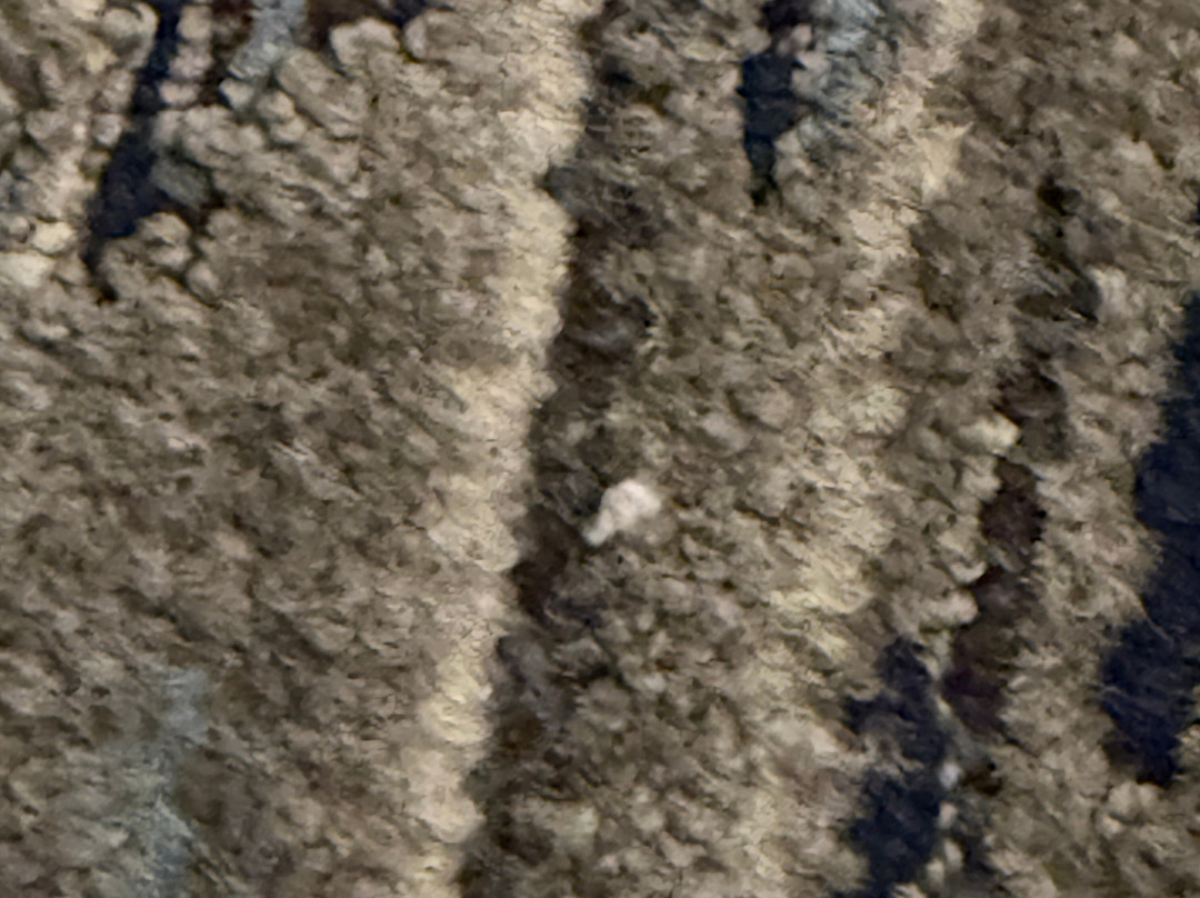 Holiday Inn Express & Suites Texarkana By IHG主图