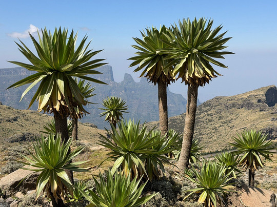 Hike Ethiopia-贡德尔必去景点