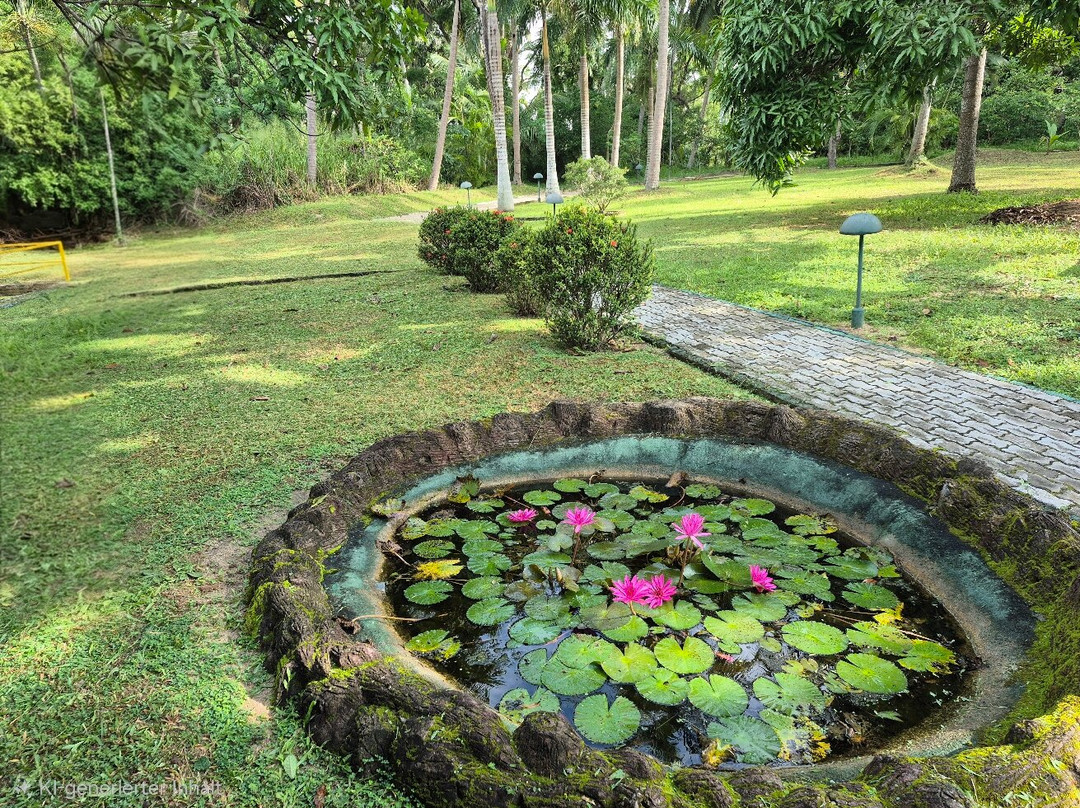 Ayurveda Paradise Maho主图