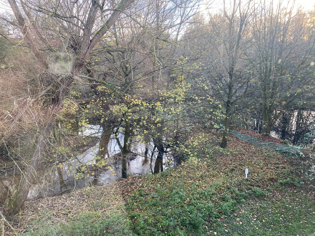 Travelodge Crewe Hotel主图