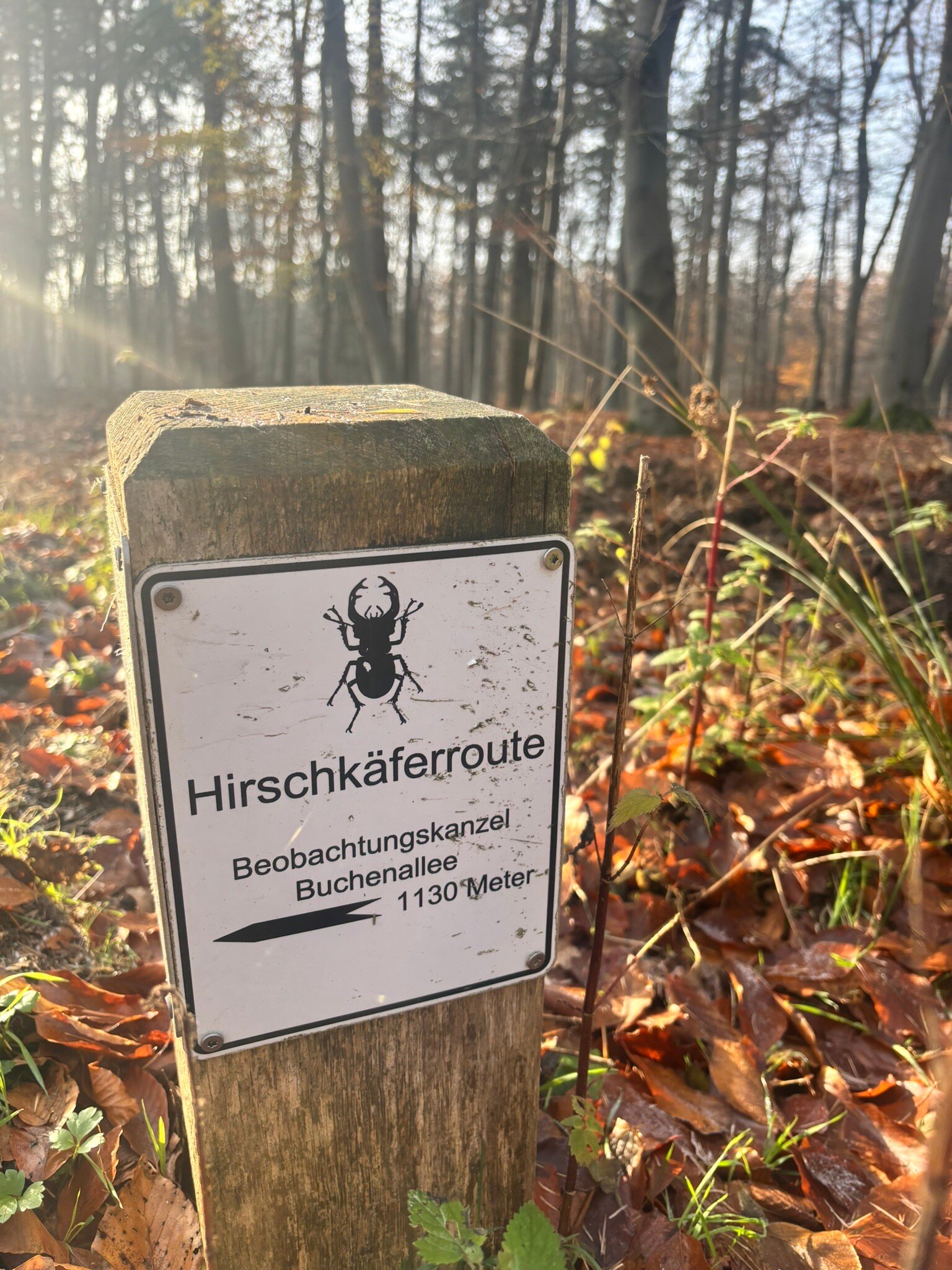 Hotel Haus Duden-官方