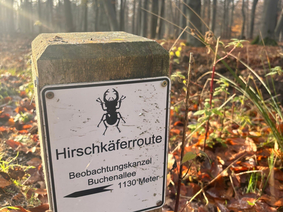 Hotel Haus Duden主图