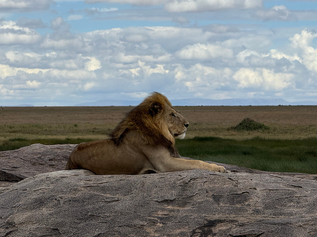BADGER ADVENTURES TOURS & SAFARI-Arusha Chini必去景点