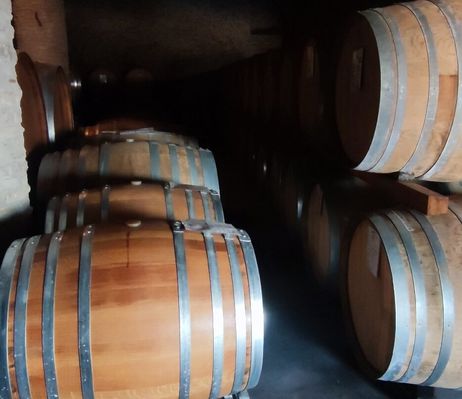 Rapalino Vini-Neviglie必去景点