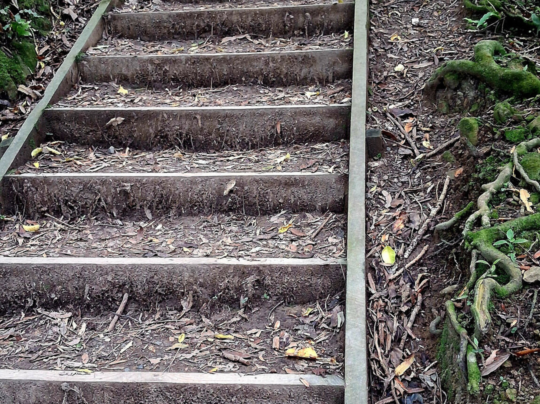 Mount Kaukau-惠灵顿必去景点