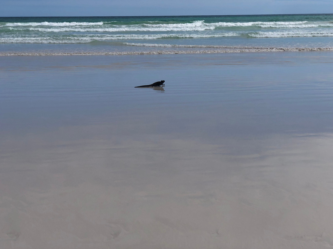 Cruise In Galapagos-阿约拉港必去景点