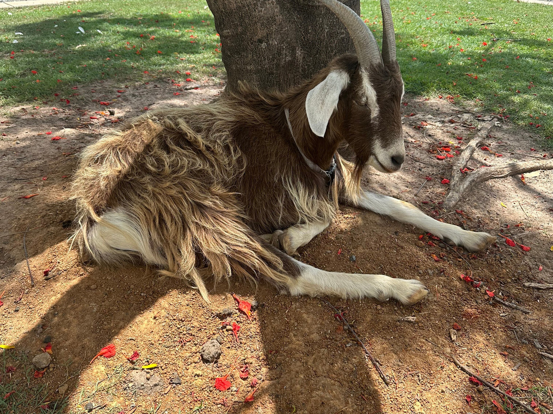 Splitters Farm-邦德堡必去景点