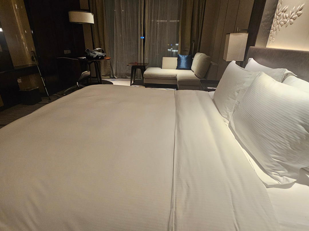 安顺百灵希尔顿逸林酒店主图