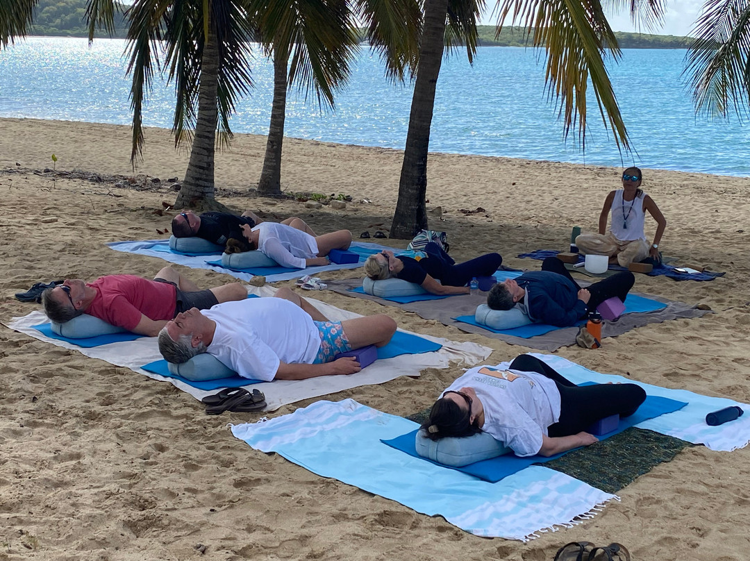 Vieques Wellness and Yoga-Vieques必去景点