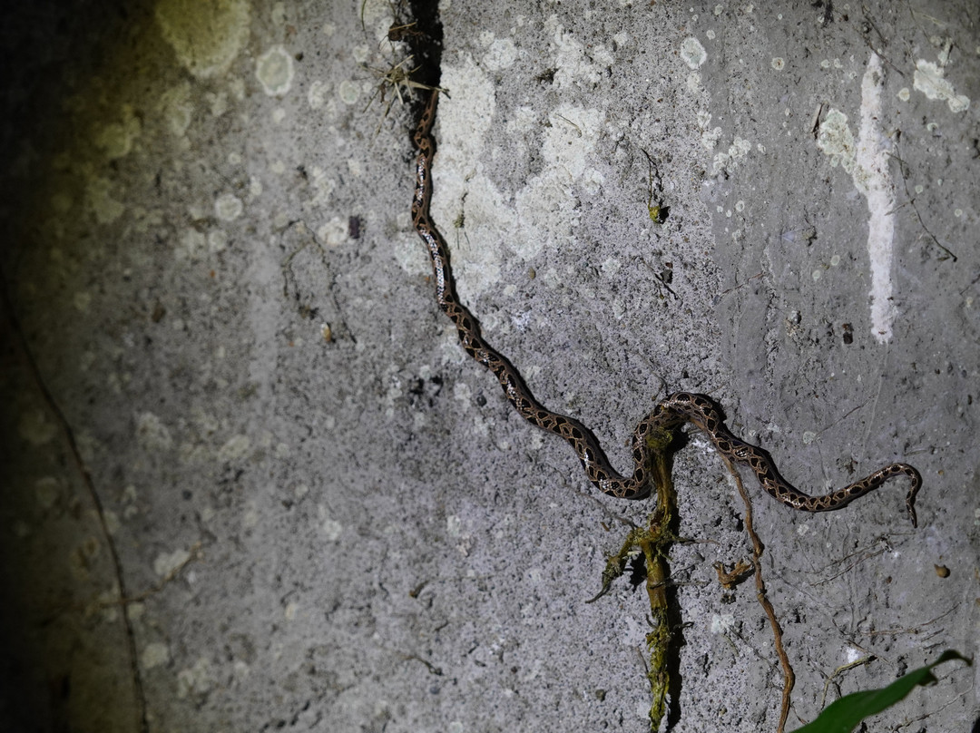 Tarantulas Way-卡维塔必去景点