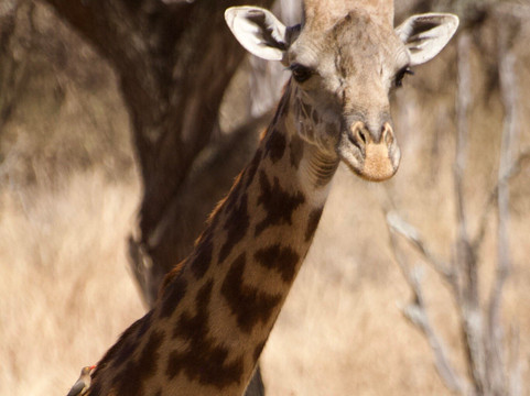 Lune Adventure Ltd-莫西必去景点