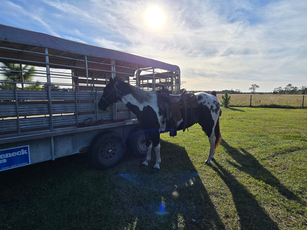 Wagon Wheel Horse Farm-奥基乔比必去景点
