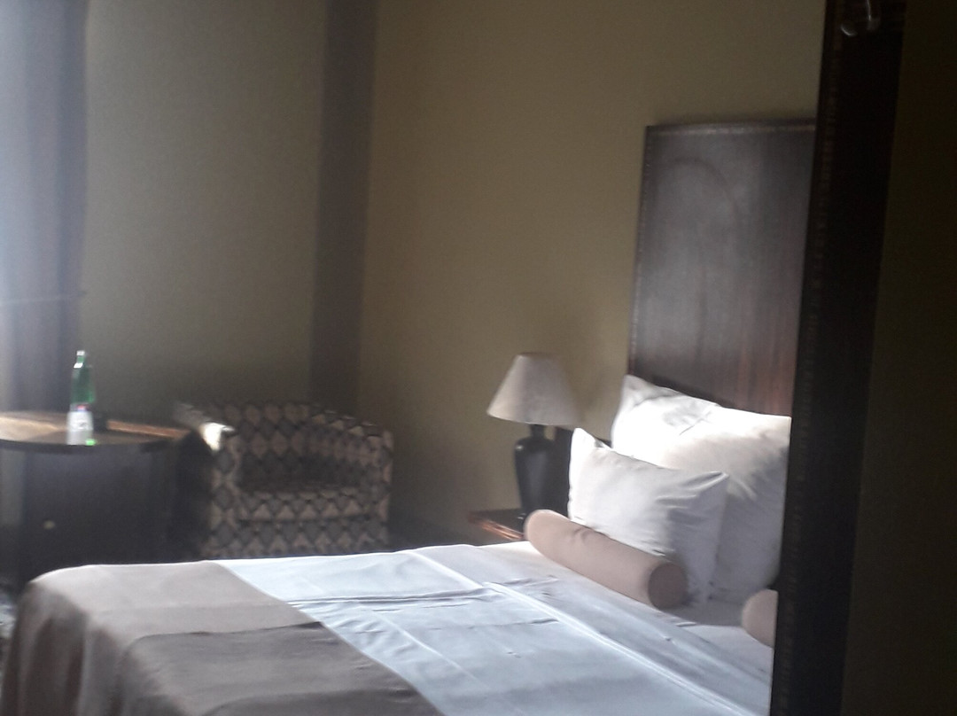 巴瑟罗布尔诺宫殿酒店主图