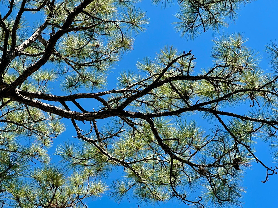 Gulfport Brewery & Eatery-Gulfport必去景点