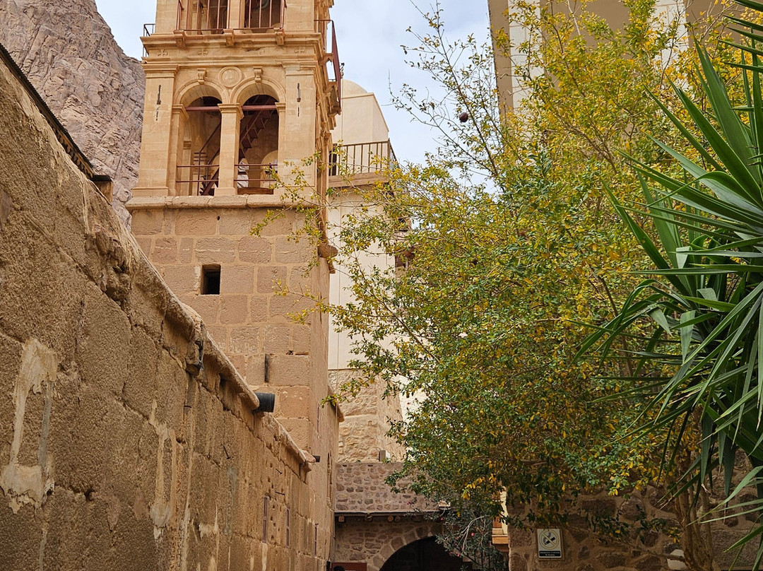 Vova Tours-沙姆沙伊赫必去景点