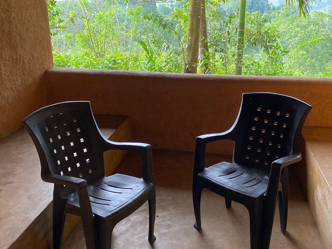 Rainforest Edge主图