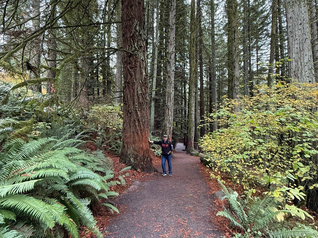 Hoyt Arboretum-波特兰必去景点