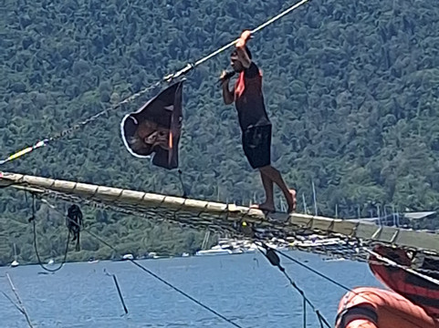 Escuna Banzay-帕拉地必去景点