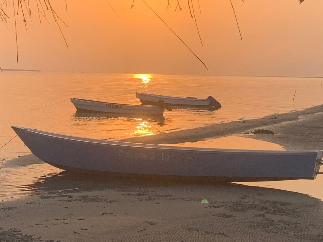 Casamance Vtt-Oussouye必去景点