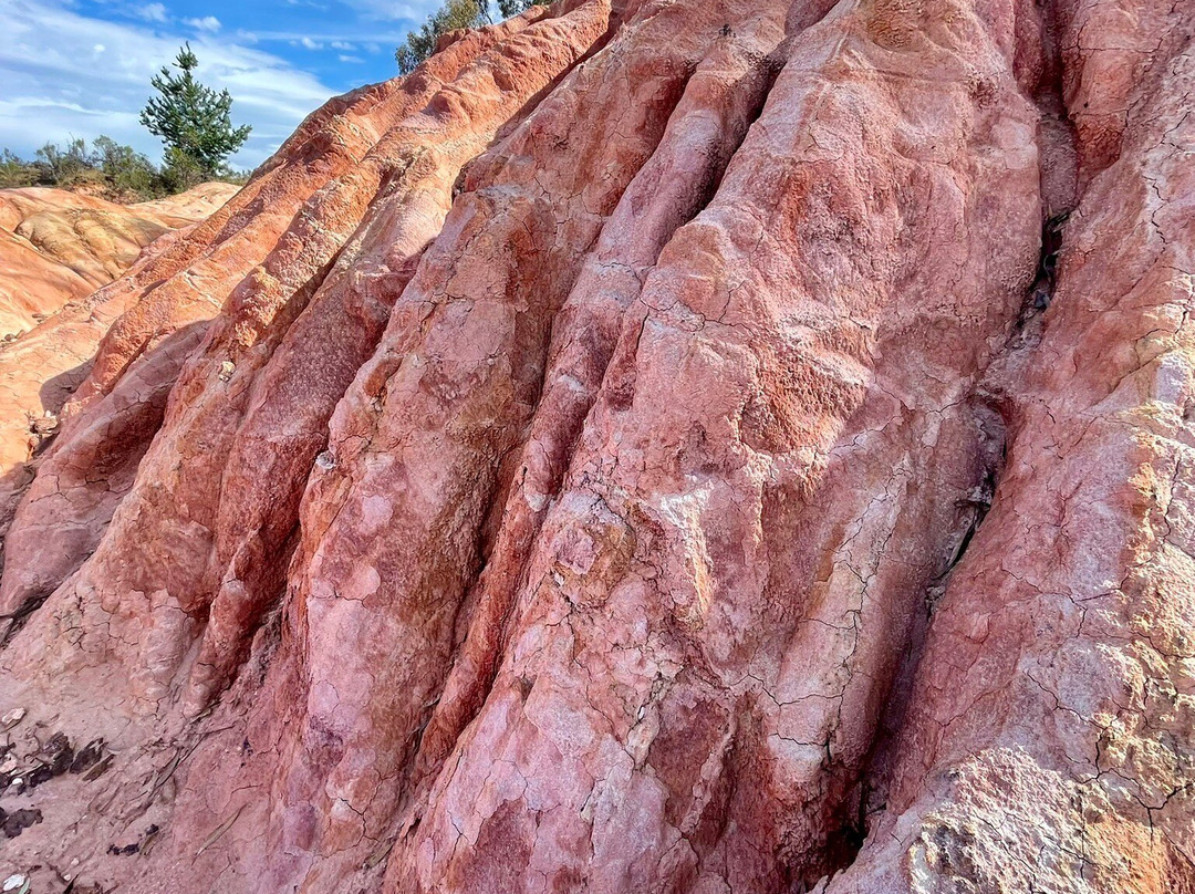 Pink Cliffs-Heathcote必去景点