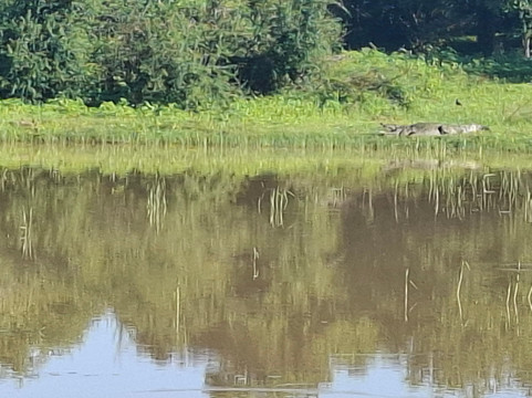 Nimtharu Tours-瓦勒迦玛必去景点