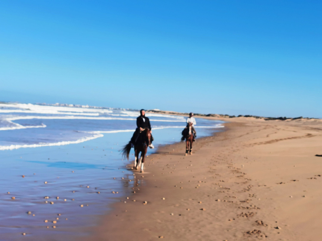 Mogador Horse-Diabat必去景点