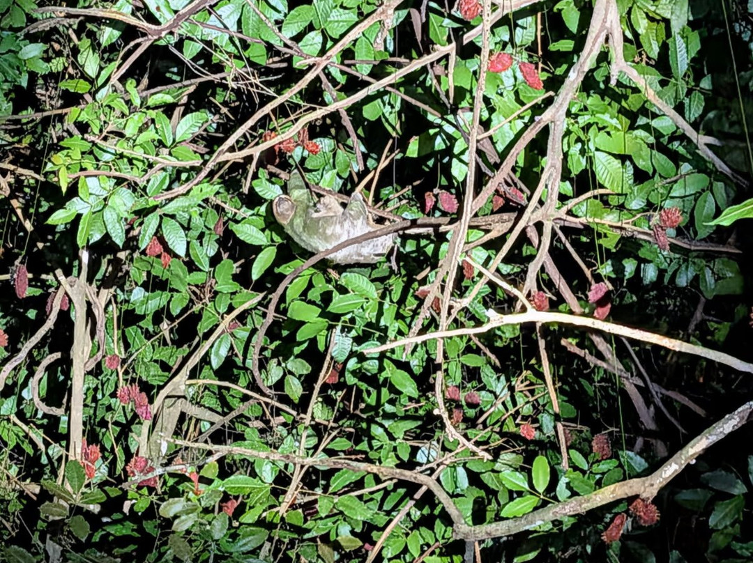 Mountain Top Park-哥斯达黎加安东尼奥国家公园必去景点