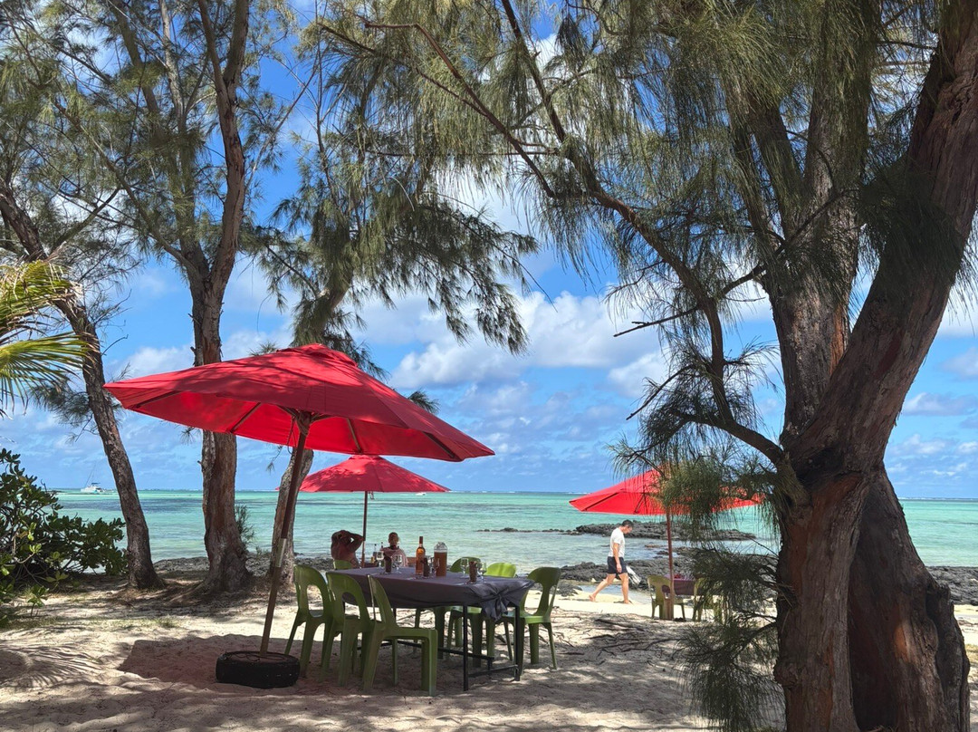 Paradisio Excursions Ile Maurice-大湾必去景点