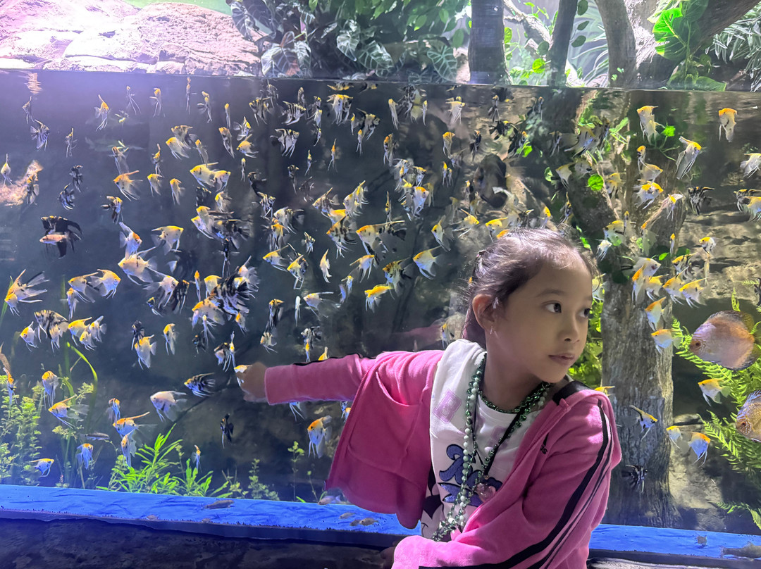 Marassi Aquarium & Underwater Zoo-Diyar Al Muharraq必去景点