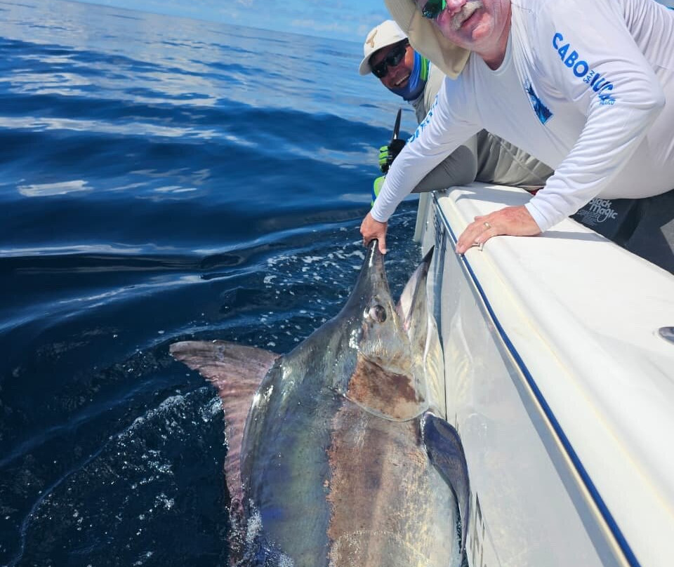 Sport Fish Panama Island Lodge-Boca Chica必去景点