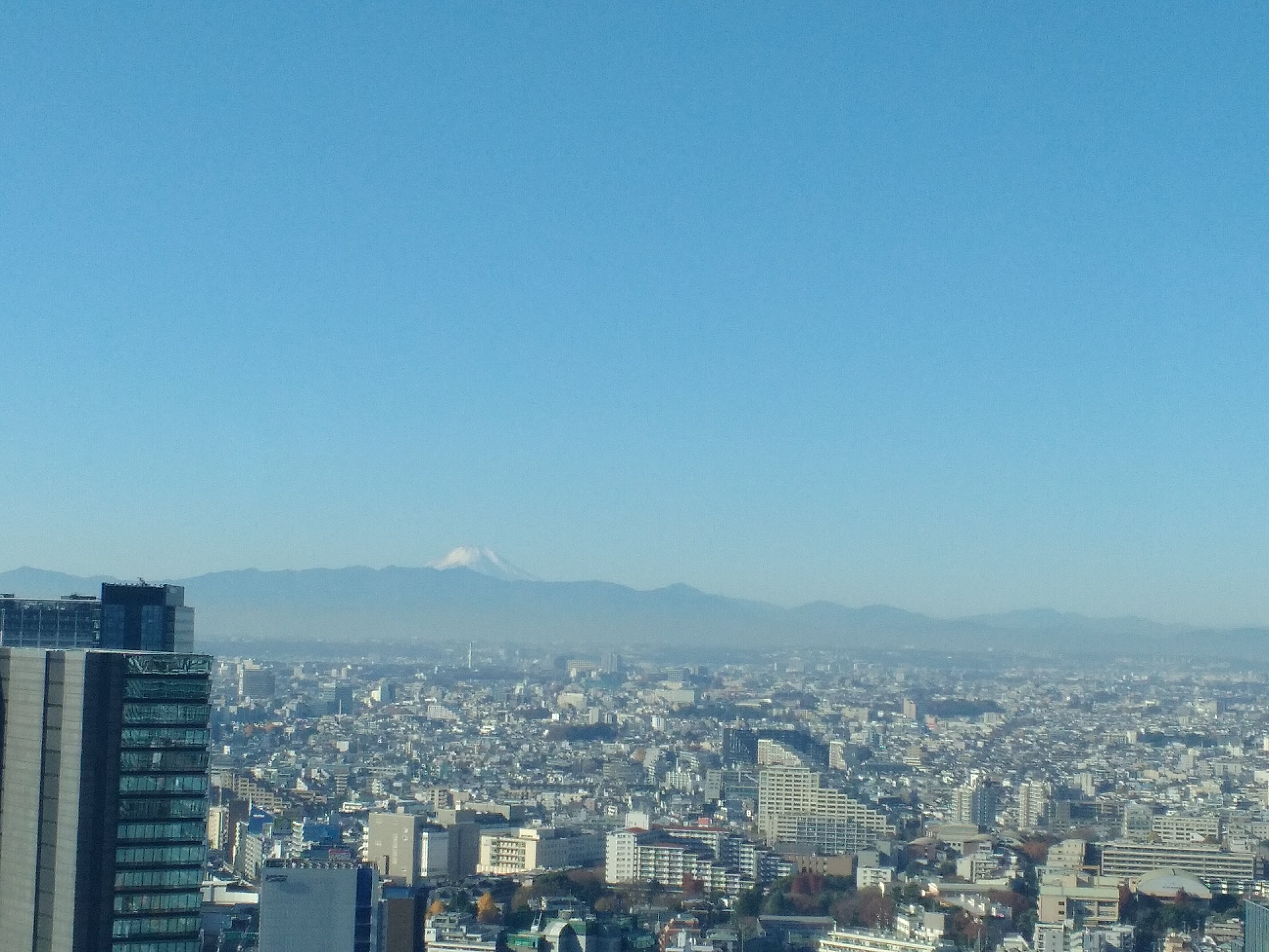 东急蓝塔酒店-酒店景观