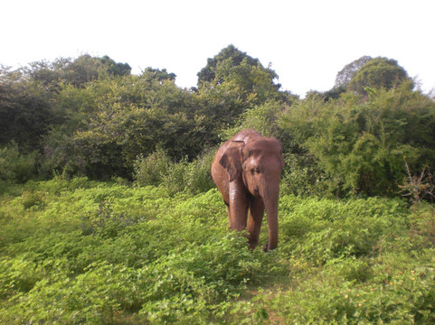 S & N Lanka Travels-科伦坡必去景点