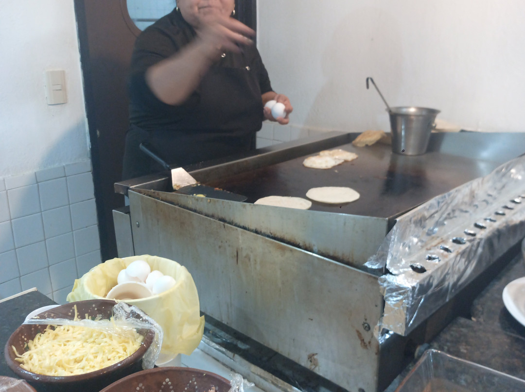 Mision Torreon主图