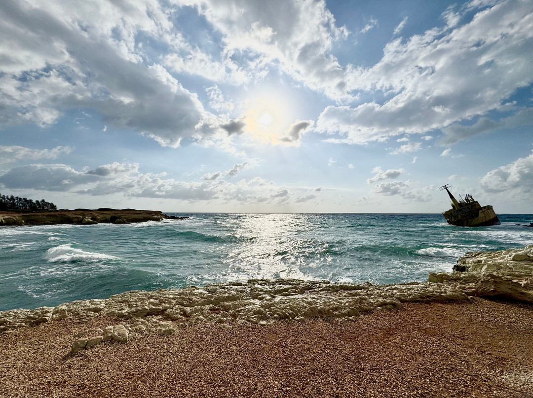 Edro III Shipwreck-Peyia必去景点