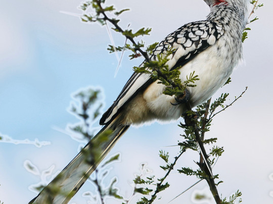 Kimburi Tours-德班必去景点