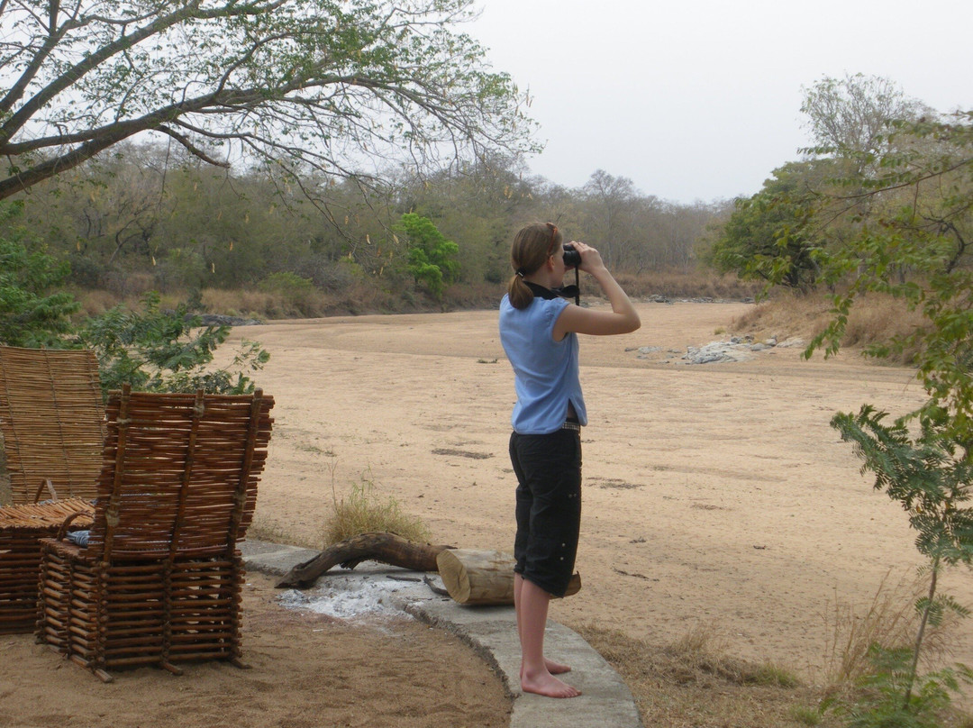 Bouba Ndjida Safari Camp