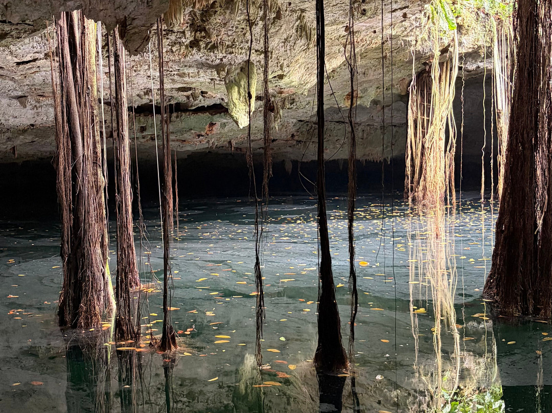 Cenote La Casa De Los Pájaros-Tizimin必去景点