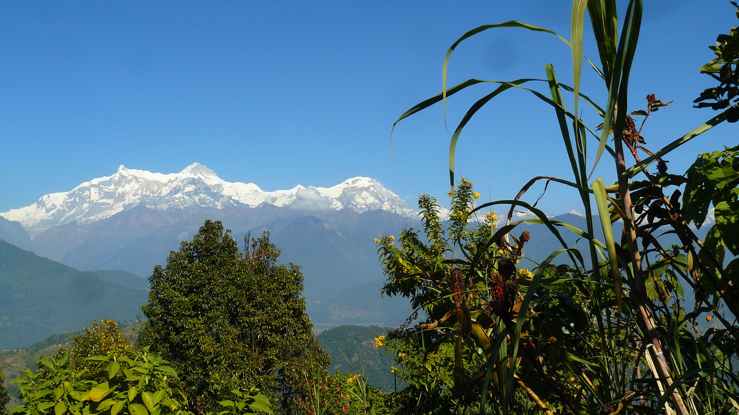 Club ES Deurali Resort-官方