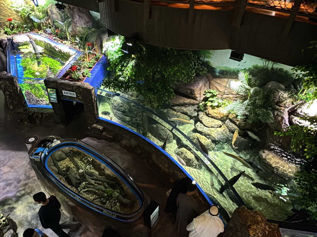 Marassi Aquarium & Underwater Zoo-Diyar Al Muharraq必去景点