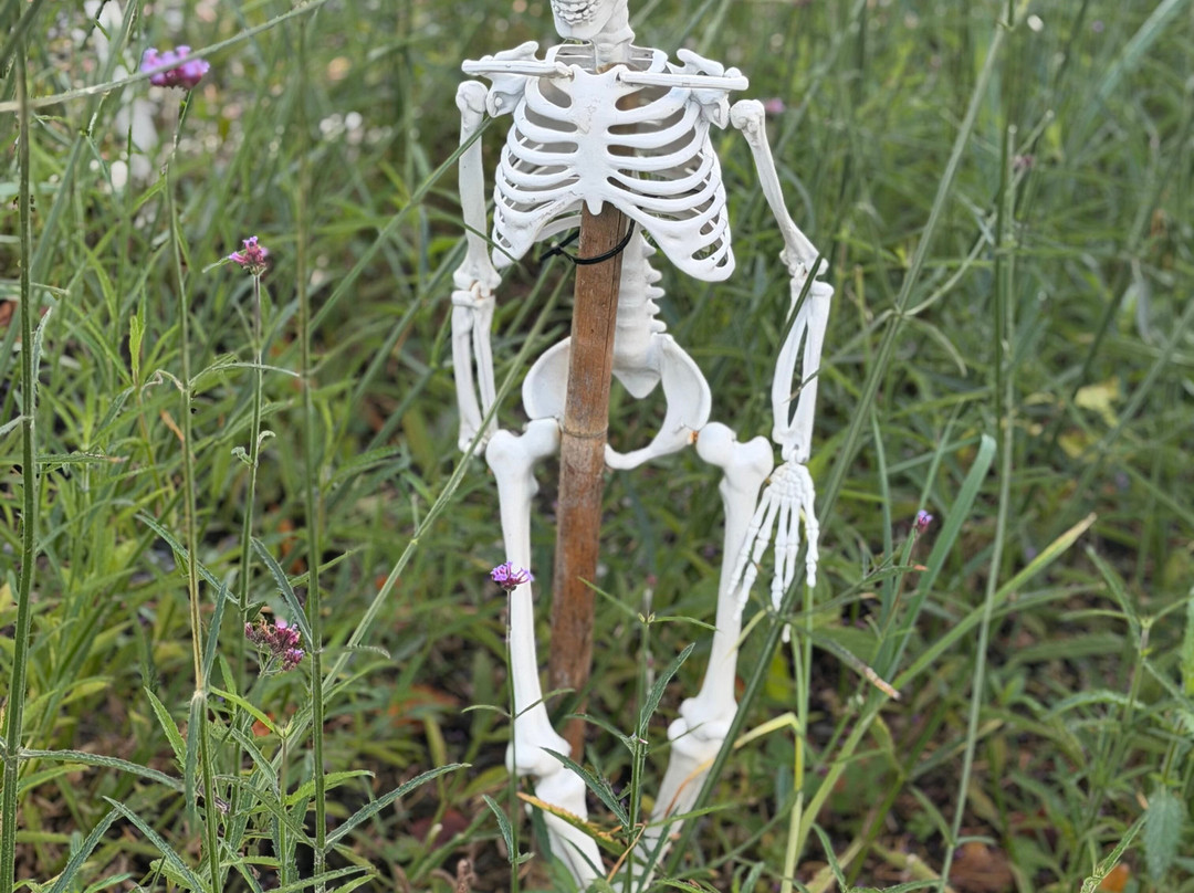 温德米尔布罗克霍尔湖-温德米尔必去景点