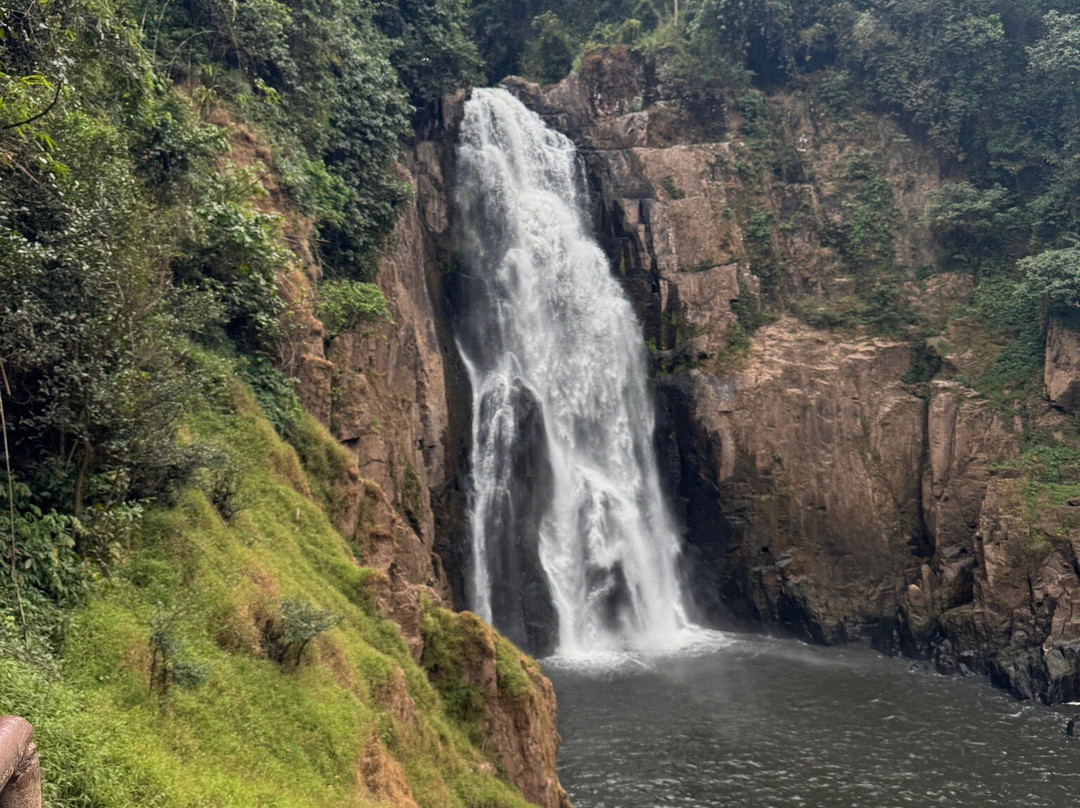 Khaoyai Jungle Tour and Photographer by Guide Jay-北冲县必去景点