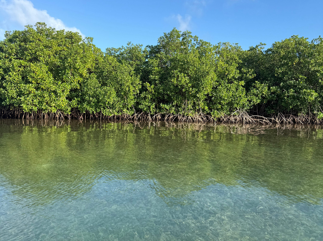 Antigua Fly Fishing Charters-安提瓜必去景点