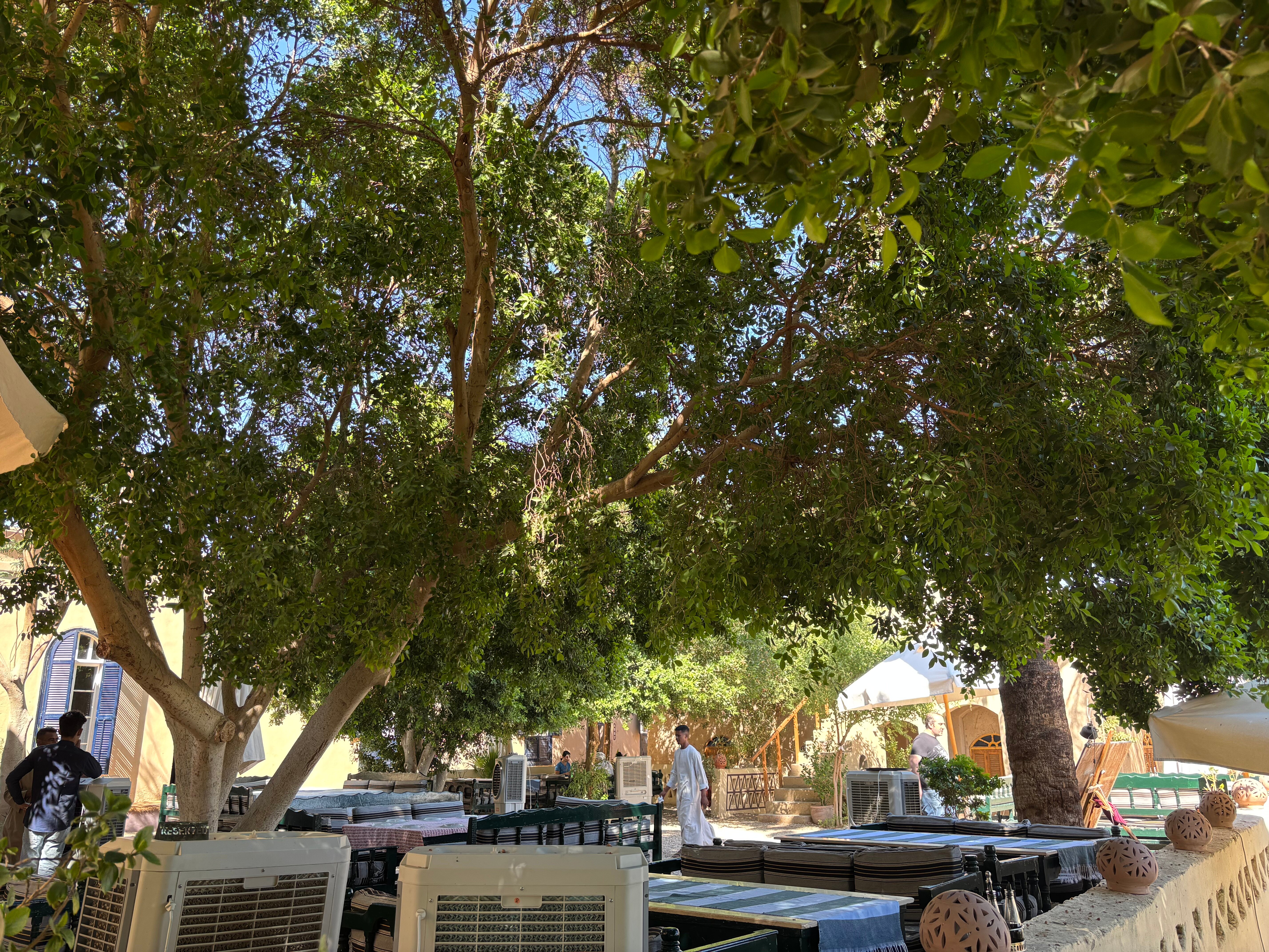 Marsam Hotel Luxor-官方