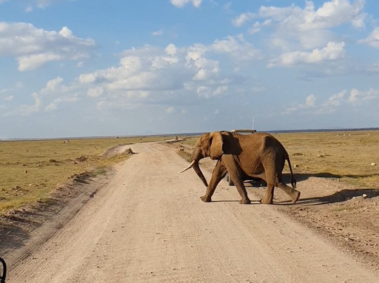 Safari Kenya Bliss (roby & King)-瓦塔木必去景点