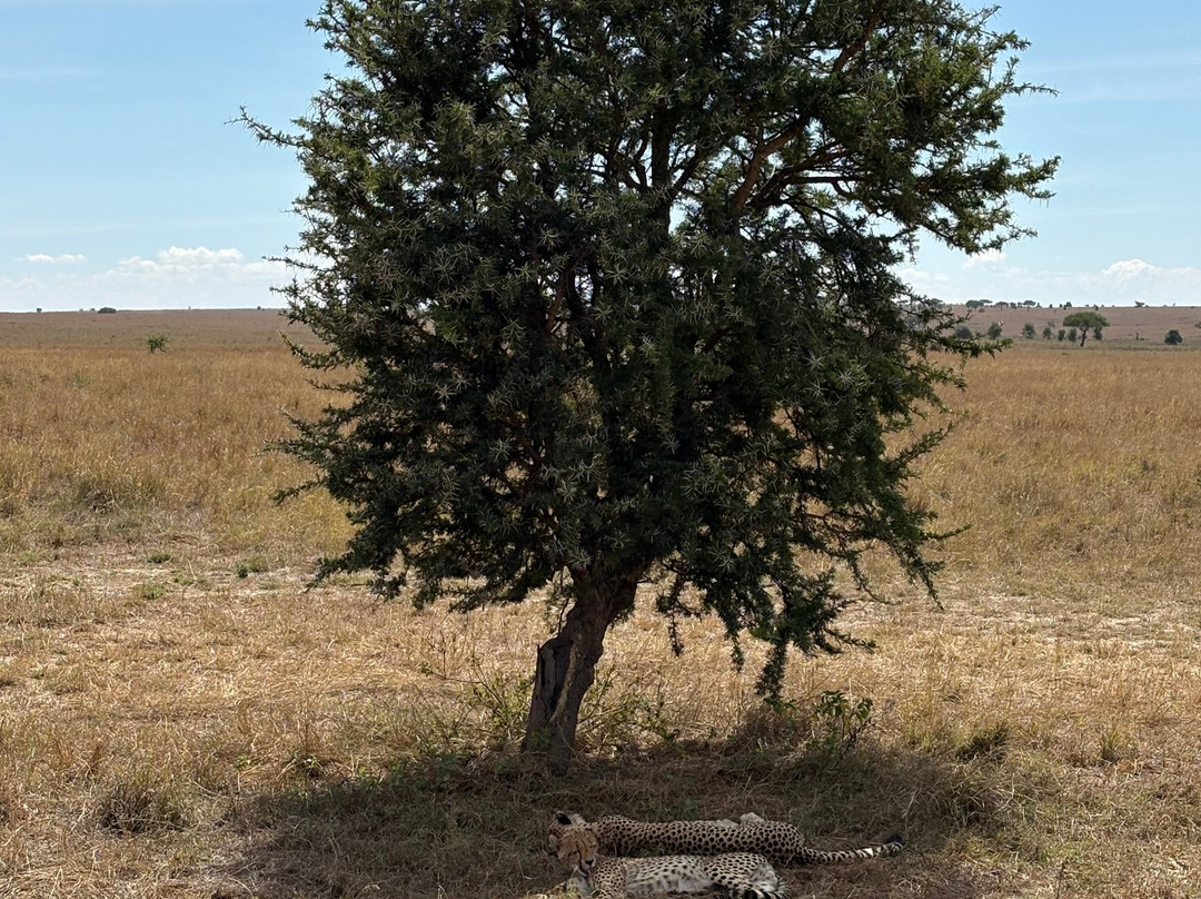 Tanzania Roadside Expeditions-阿鲁沙必去景点